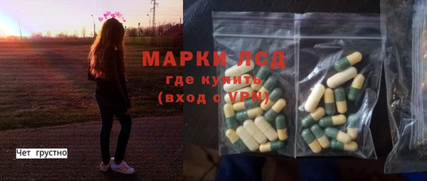 прущие грибы Краснослободск