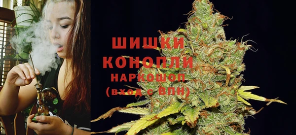 прущие грибы Краснослободск