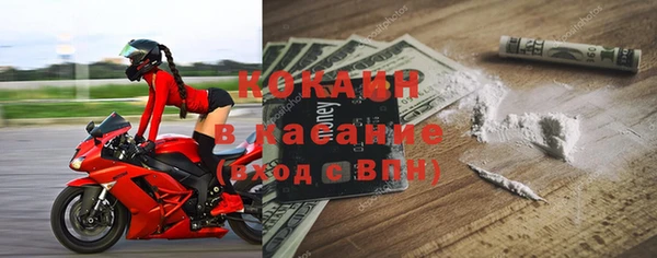прущие грибы Краснослободск