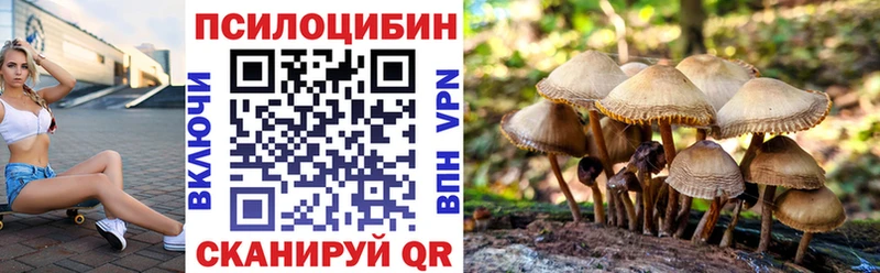 Купить закладки  Лабинск  Псилоцибиновые грибы MAGIC MUSHROOMS 