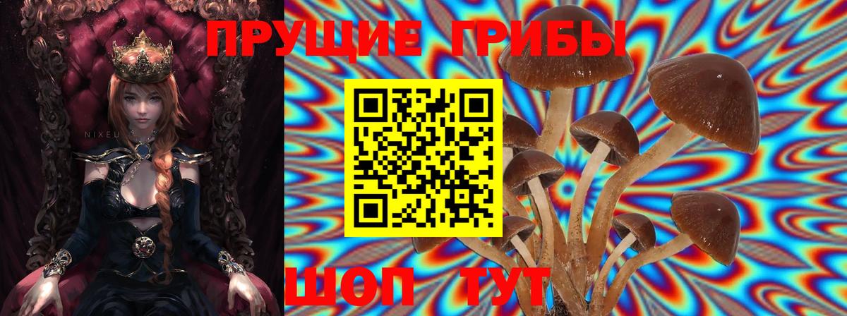 Галлюциногенные грибы мухоморы Лабинск