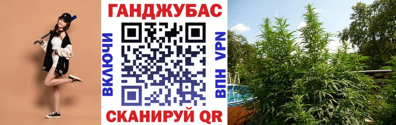Бошки Шишки планчик  Купить  Лабинск 